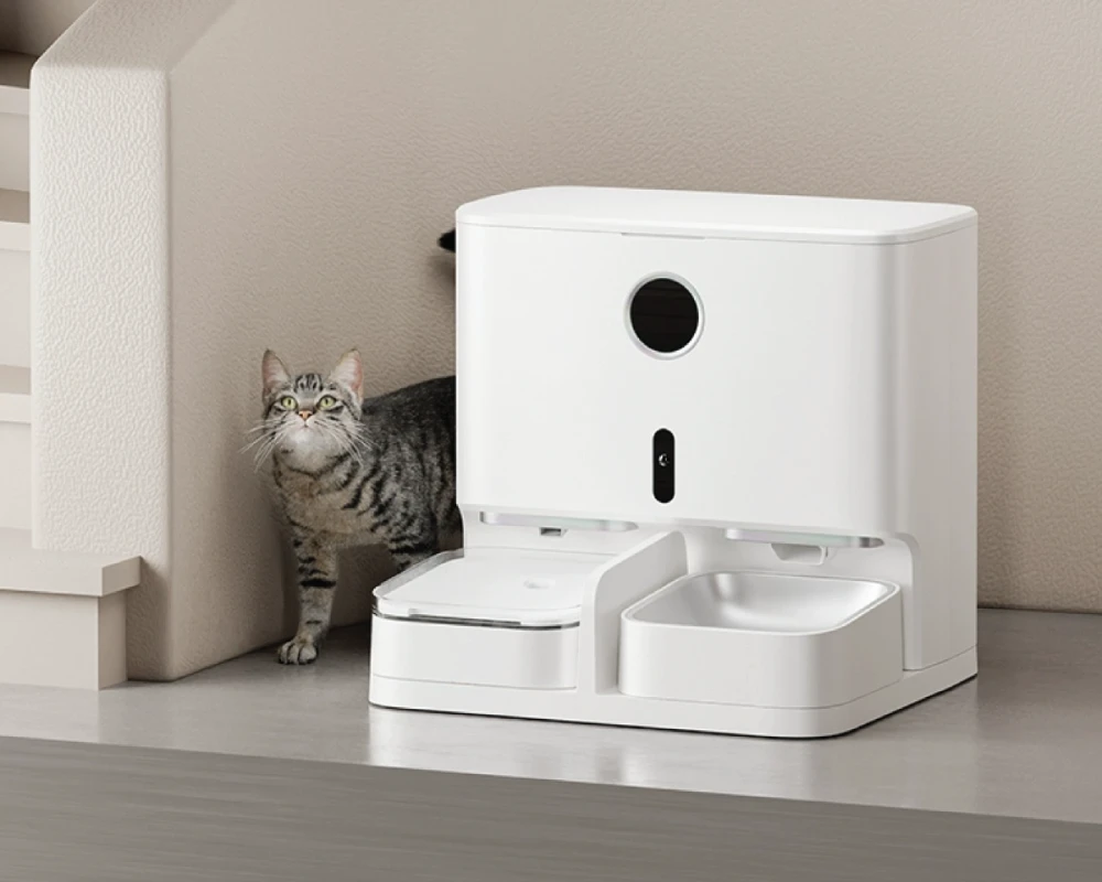 automatic feeder for dogs